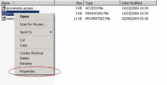 Displaying the jmxremote.password  file properties